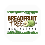 Bread Fruit Tree