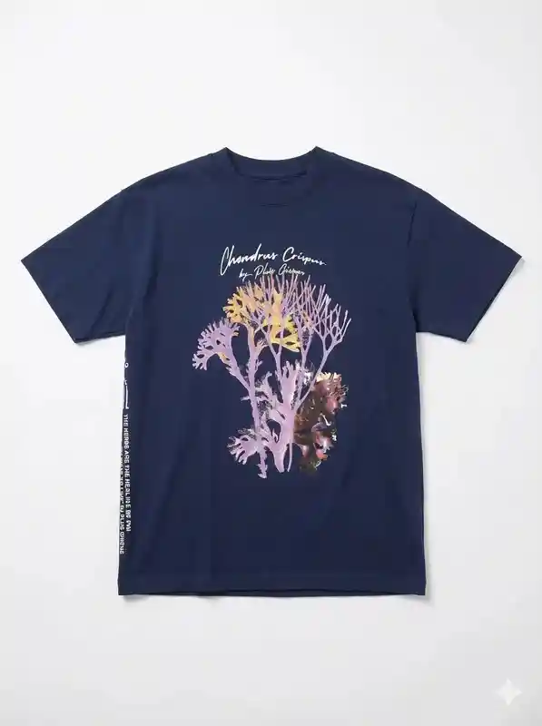 ‘92 Ways To Live’ Plus Given X Ital (Dark Blue)