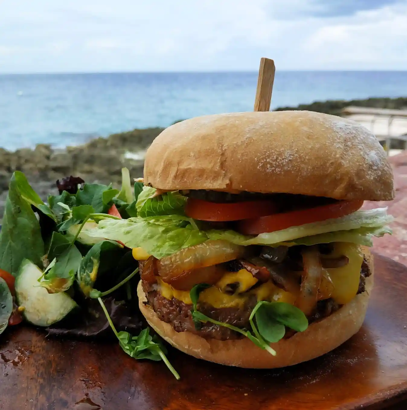 Beyond Impossible Burger(V)