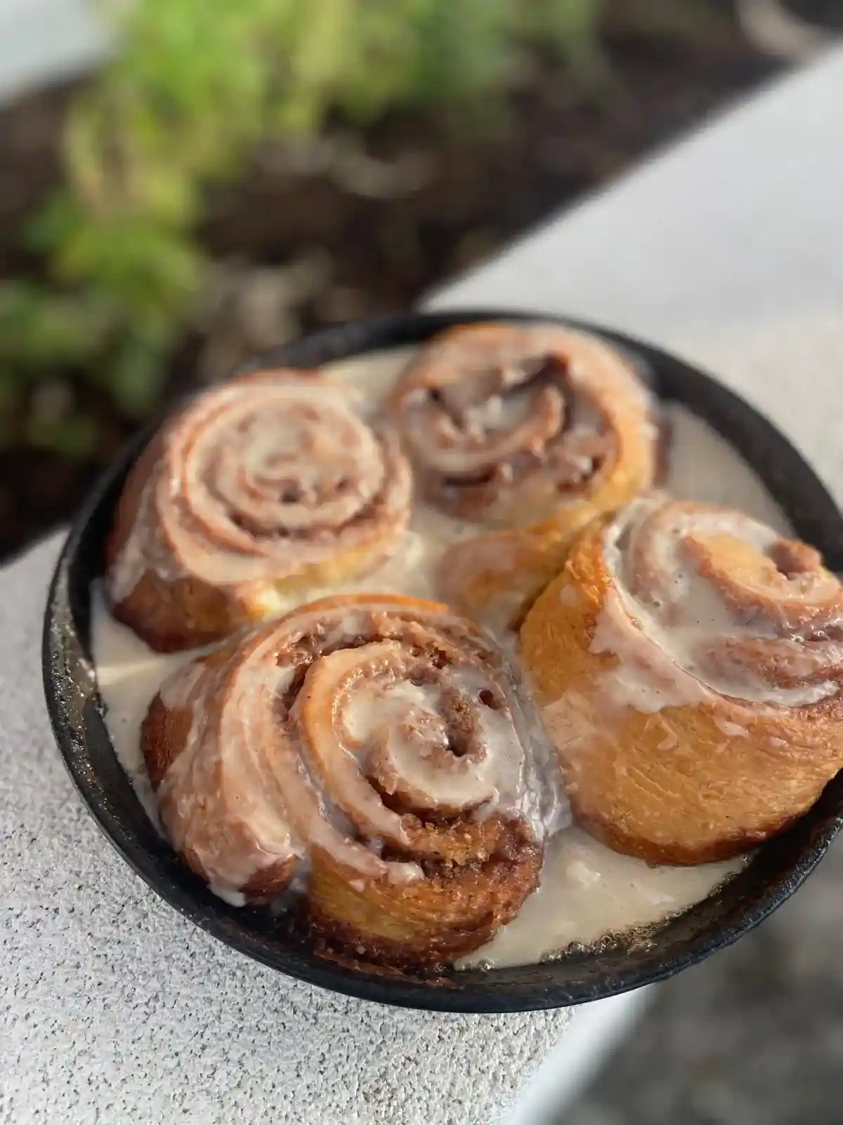 Cinnamon Roll