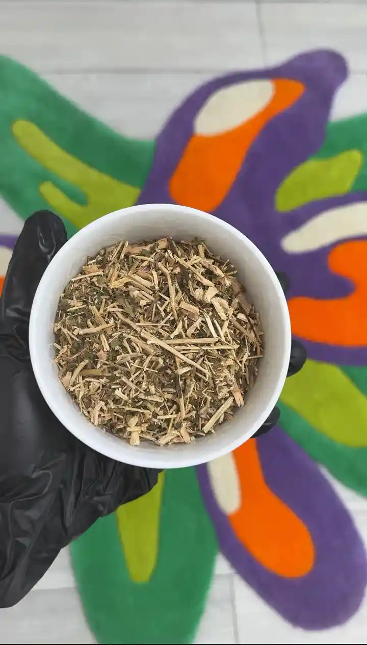 Damiana (Ramgoat Dashalong)