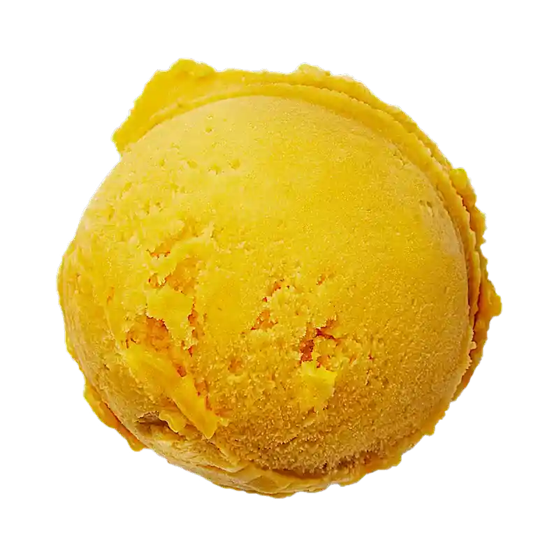 Mango Sorbet 