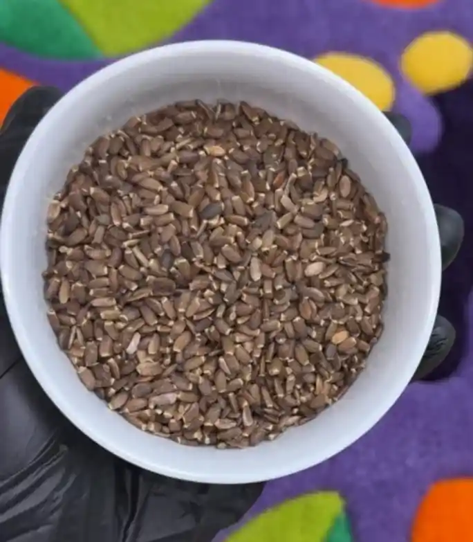 Milk Thistle Seed