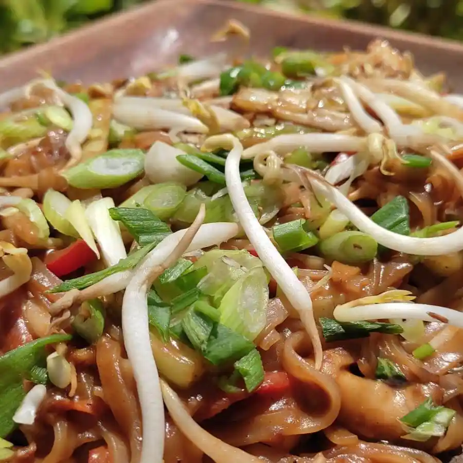 Pad Thai(V-GF)