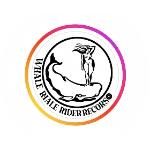 Whale Rider Records  ( Only Thursday and Fridays )